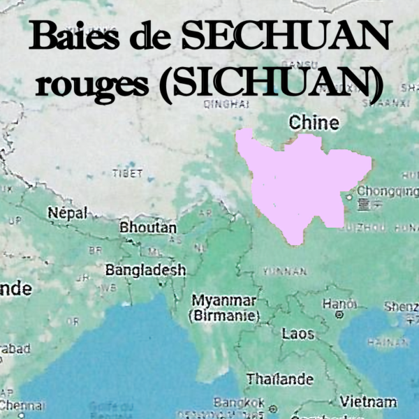 Baies_de_Sechuan_rouges