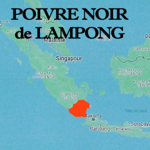 Poivre_noir_de_Lampong_Indonésie