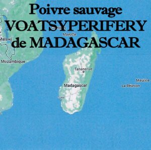 poivre_sauvage_voatsiperifery_de_Madagascar