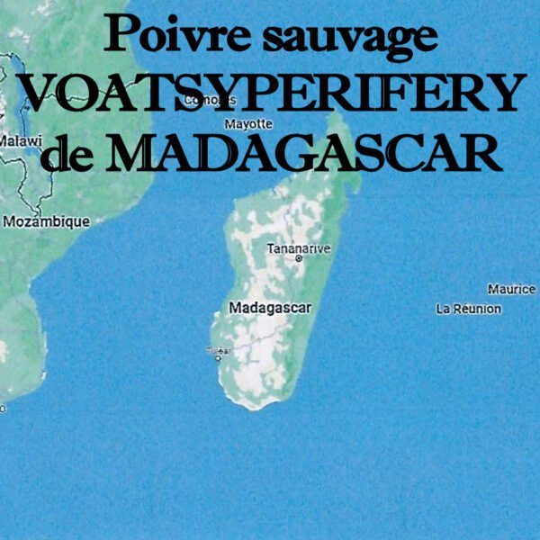 poivre_sauvage_voatsiperifery_de_Madagascar