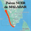 Poivre_noir_de_Malabar