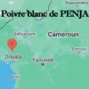 POIVRE BLANC de PENJA
