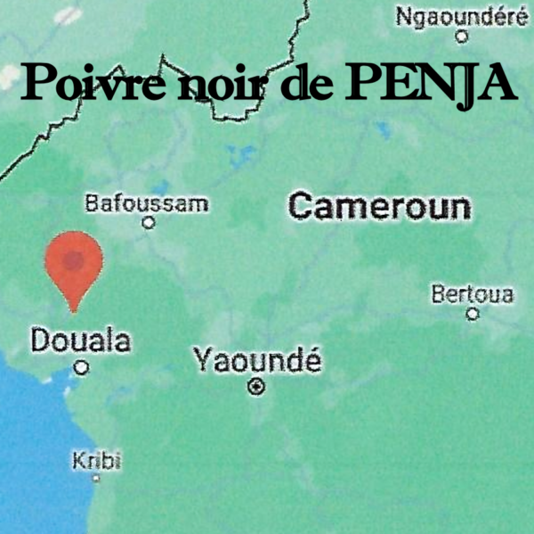 Poivre noir de Penja