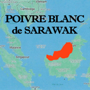 Poivre_blanc_de_Sarawak_Mlaisie