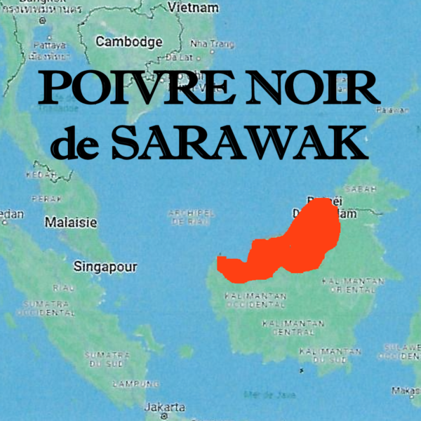 Poivre_noir_de_Sarawak_en_Malaisie