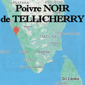 Poivre_noir_de_Tellicherry_aux_Indes