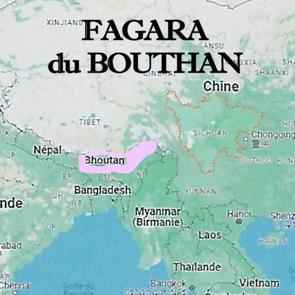 Fagara_du_Bouthan