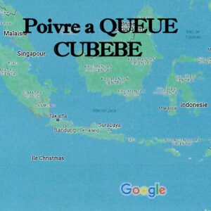 Poivre_a_queue_cubebe