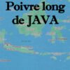 Poivre_long_de_Java