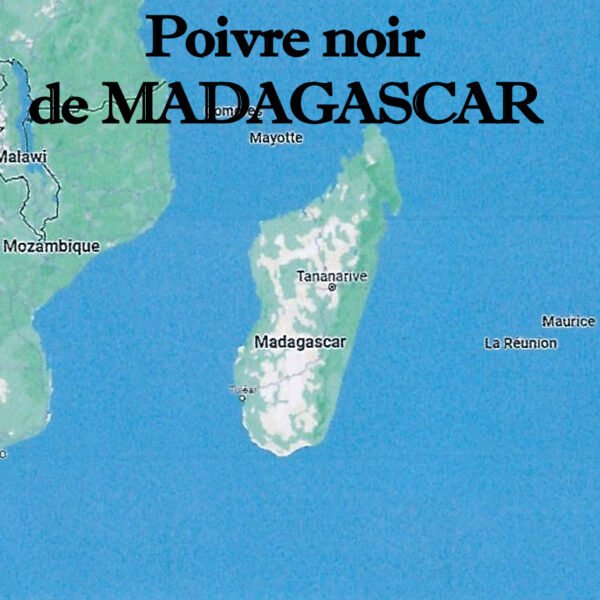 Poivre_noir_de_Madagascar