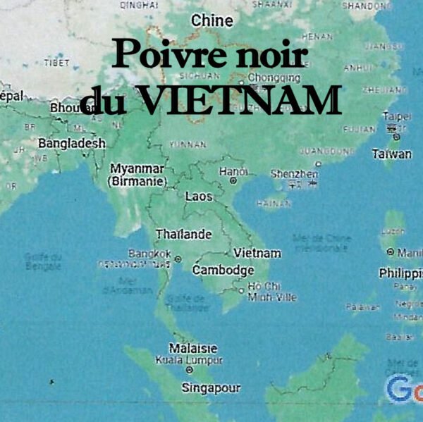 Poivre_noir_du_vietnam