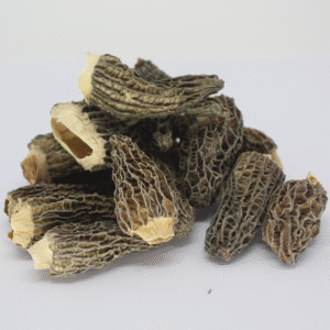 Morille morchella esculata