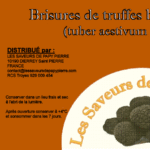 TRUFFES blanches d'été en BRISURES