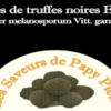 TRUFFES NOIRES du PÉRIGORD en BRISURES