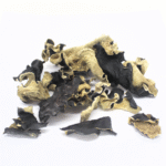 Champignons noirs