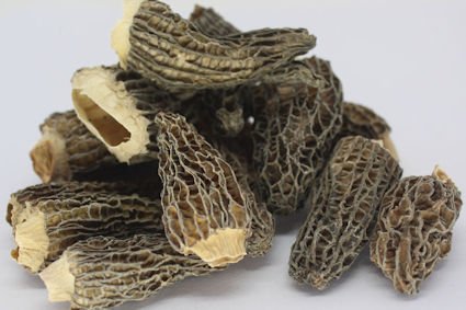 Morilles
