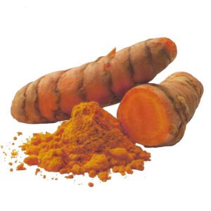 Racine ou rhizome de curcuma