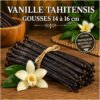Vanille tahitensis de Papouasie-Nouvelle-Guinée