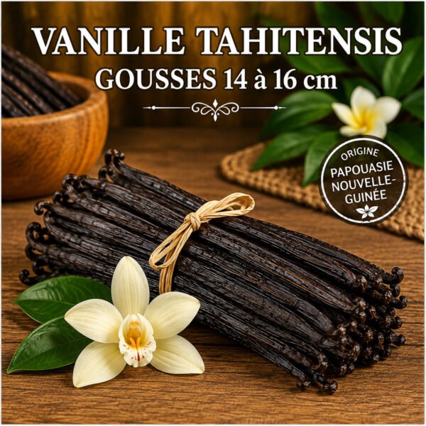 Vanille tahitensis de Papouasie-Nouvelle-Guinée