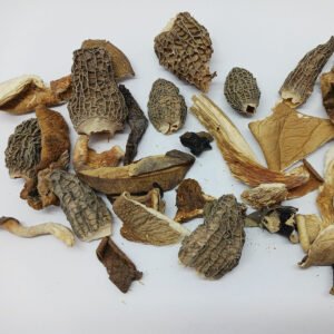 Les champignons de Papy Pierre